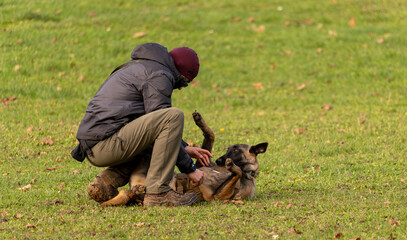 complicité entre le chien et son humain, chien de travail berger malinois jouant avec son maître pour créer de la complicité, éducation canine