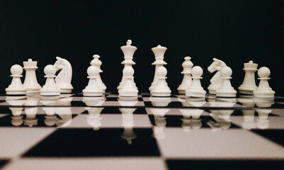chess pieces on a chessboard