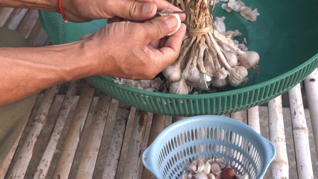 Peeling garlic in the traditional Thai way
