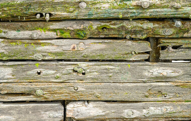 Detail of the old shipwreck Polstjernan near Hamburg.
