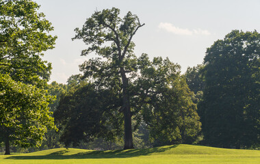 Newark Earthworks in Heath Ohio