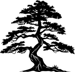 pine tree silhouette vector