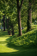 Newark Earthworks in Heath Ohio