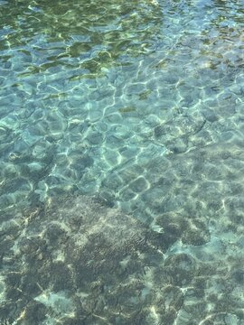 Sea water clear transparent surface with seaweed at the bottom