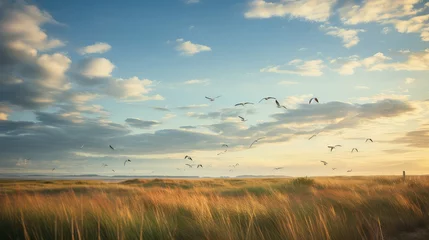 Foto op Aluminium waves coastal plains landscape illustration dunes seashells, seagulls marsh, estuary lighthouse waves coastal plains landscape © vectorwin
