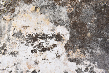 Dirty old cracked weathered concrete grunge and rough wall texture background. Black mold or mould on wall. Stains on cement surface.