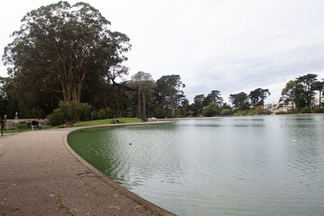 Lake and green grass in city park.