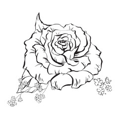 Ink: Floral composition featuring delicate open rose flowers and woodland forget-me-nots. Wildflowers and rose leaves. A stylish illustration for cards coloring prints, posters and textile printing