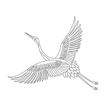 recommend clip art: Line art, crane, stork, flamingo, heron on a white background. Sketch. Outline drawing for coloring book, vector