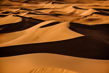 Fototapeta na wymiar Sanddünen in der Wüste Gobi, Mongolei im orangenen Licht der Abendsonne