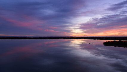 Obraz premium Sunrise in the wetlands of the Camargue