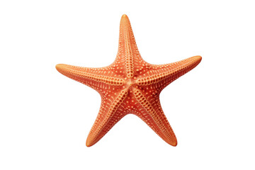 Fototapeta na wymiar Oceanic Royalty: The Elegance of Starfish isolated on transparent background