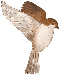 Illustration of cute brown sparrow.