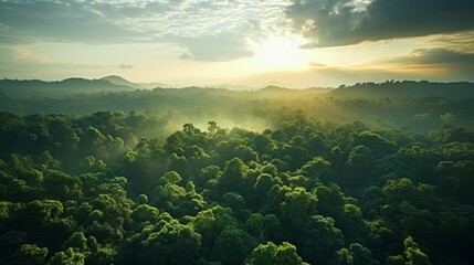 Beautiful green Amazon forest landscape at sunset. Adventure, explore, air dron view, vibe - obrazy, fototapety, plakaty