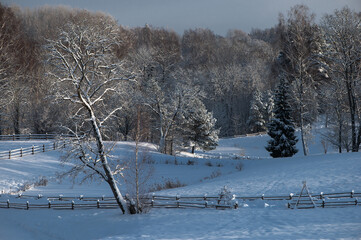 Snow-covered trees and wooden fence, blue sky, winter contrasts