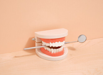 A human jaw and a dental mirror. Dental health care.