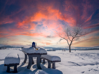 Picnic with thermos and tea in a winter landscape