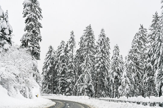 Lenzerheide, Valbella, Bergstrasse, Schneedecke, Lantsch, Lenz, Tiefencastel, Albula, Chur, Winterlandschaft, Alpen, Wald, Winter, Schnee, Schneefall, Gefahr, Graub&uuml;nden, Schweiz