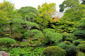 Fototapeta na wymiar Garden at Eikan-dō Temple, a major Buddhist temple with ancient art and Zen garden in Kyoto, Japan