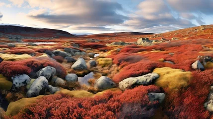 Foto op Plexiglas environment moss tundra landscape illustration cold climate, ecosystem vegetation, groundcover permafrost environment moss tundra landscape © vectorwin