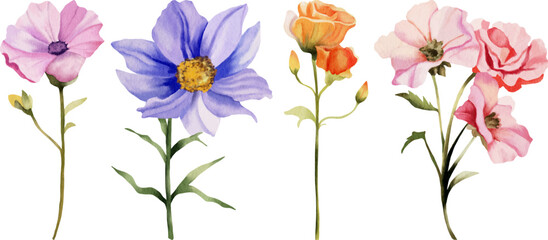 Flower watercolor illustration set