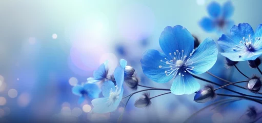 Papier Peint Lavable Prairie, marais Beautiful blue spring flowers with blurry background.