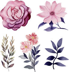 Flower watercolor illustration set