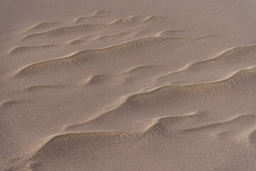 Sand in waves made by the wind, medium plan, Great Sand Dunes National Park, Preserve Colorado