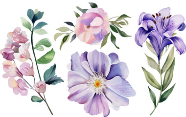 Flower watercolor illustration set