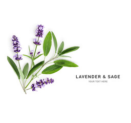 Lavender flower and sage leaves bunch isolated on white background.