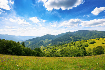 Fototapeta na wymiar mountain landscape with grassy meadow. trees on the hills and rural valley in the distance beneath a blue sky with clouds
