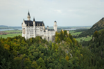 Majestic white castle stands atop a vibrant, lush green forest, creating a picturesque landscape