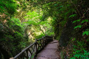 兵庫県神戸市 布引の滝へと続く遊歩道