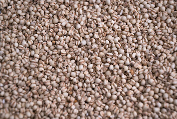 yullmu, grains, close-up,  background image