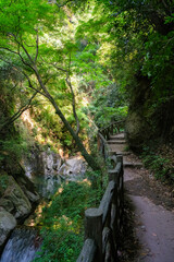 兵庫県神戸市 布引の滝へと続く遊歩道
