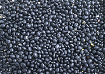 Black beans, beans, closeup, background image