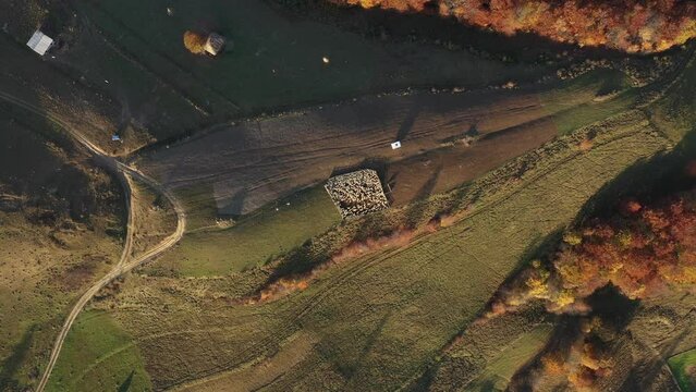 Aerial view of a sheepfold with herd of sheep inside in the mountains. Farmland in the autumn by drone