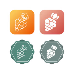 Berries Vector Icon