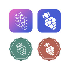 Grapes Vector Icon