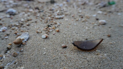 a piece of sharp glass bottle  on the  beach endanger both  human and water animal