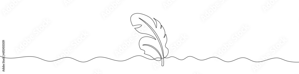 Poster continuous line drawing of feathers. feathers continuous line icon.