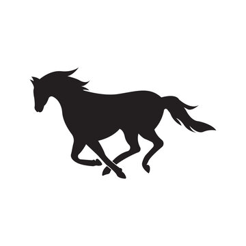 Horse logo icon, design vector illustration template.