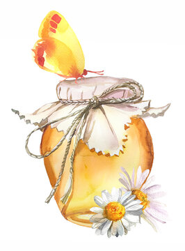 recommend clip art: Flower honey illustration. Watercolor jar of honey with camomile flowers and butterfly painting. Sweet honey branding logo isolated on white. Honey branding.