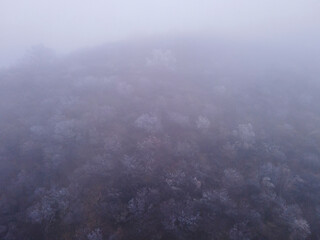 A mystical landscape in the mountains, a winter landscape. Fog and trees in frost