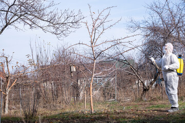 A man sprays fruit trees in autumn for diseases. Prevention of disease in the garden. Seasonal...