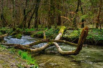 Wiesaztal, Schwäbische Alb, Deutschland