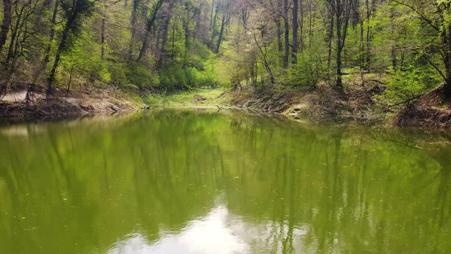 Beautiful footage of green lake Popovica in the middle of woods on a mountain Fruska gora