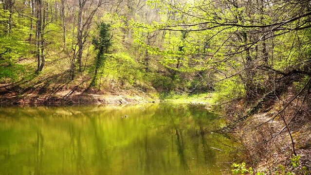 Beautiful sunlit lake Popovica in woods on mountain Fruska gora in Serbia