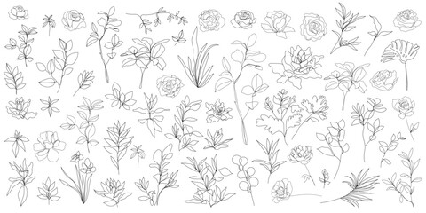 Vector set of one line art flowers, continuous monoline plants, roses, leaves, branches. Blossom logos, minimalist illustration. Simple sketch, black and white. Use as floral icons and logos.