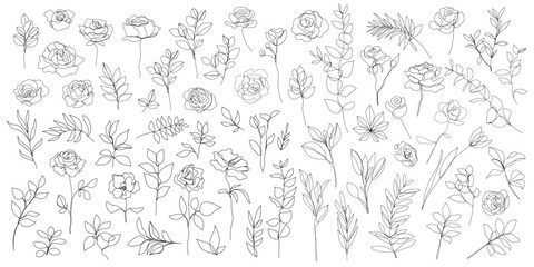 Vector set of one line art flowers, continuous monoline plants, roses, leaves, branches. Blossom logos, minimalist illustration. Simple sketch, black and white. Use as floral icons and logos.